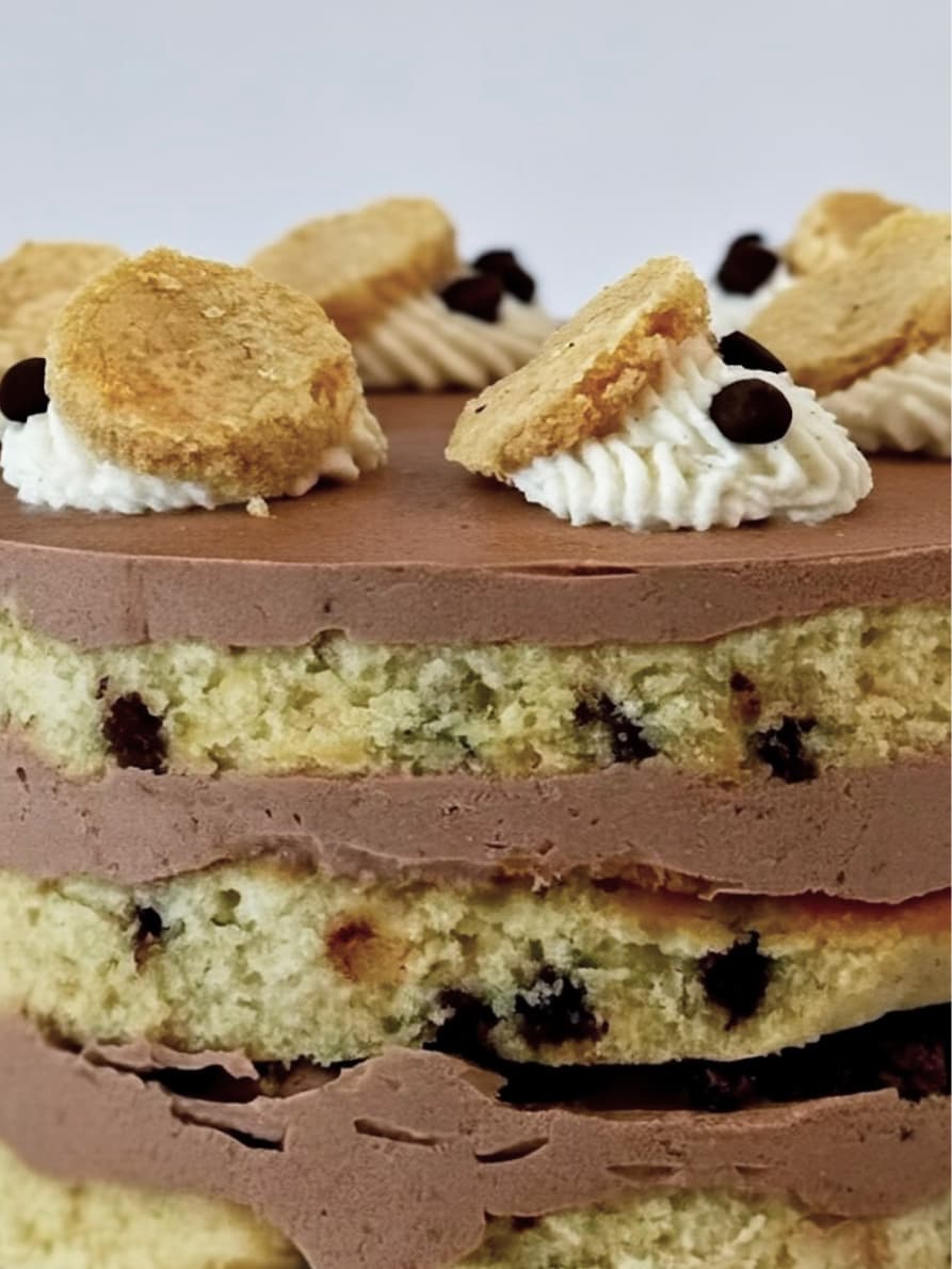 chocolate chip layer cake close-up